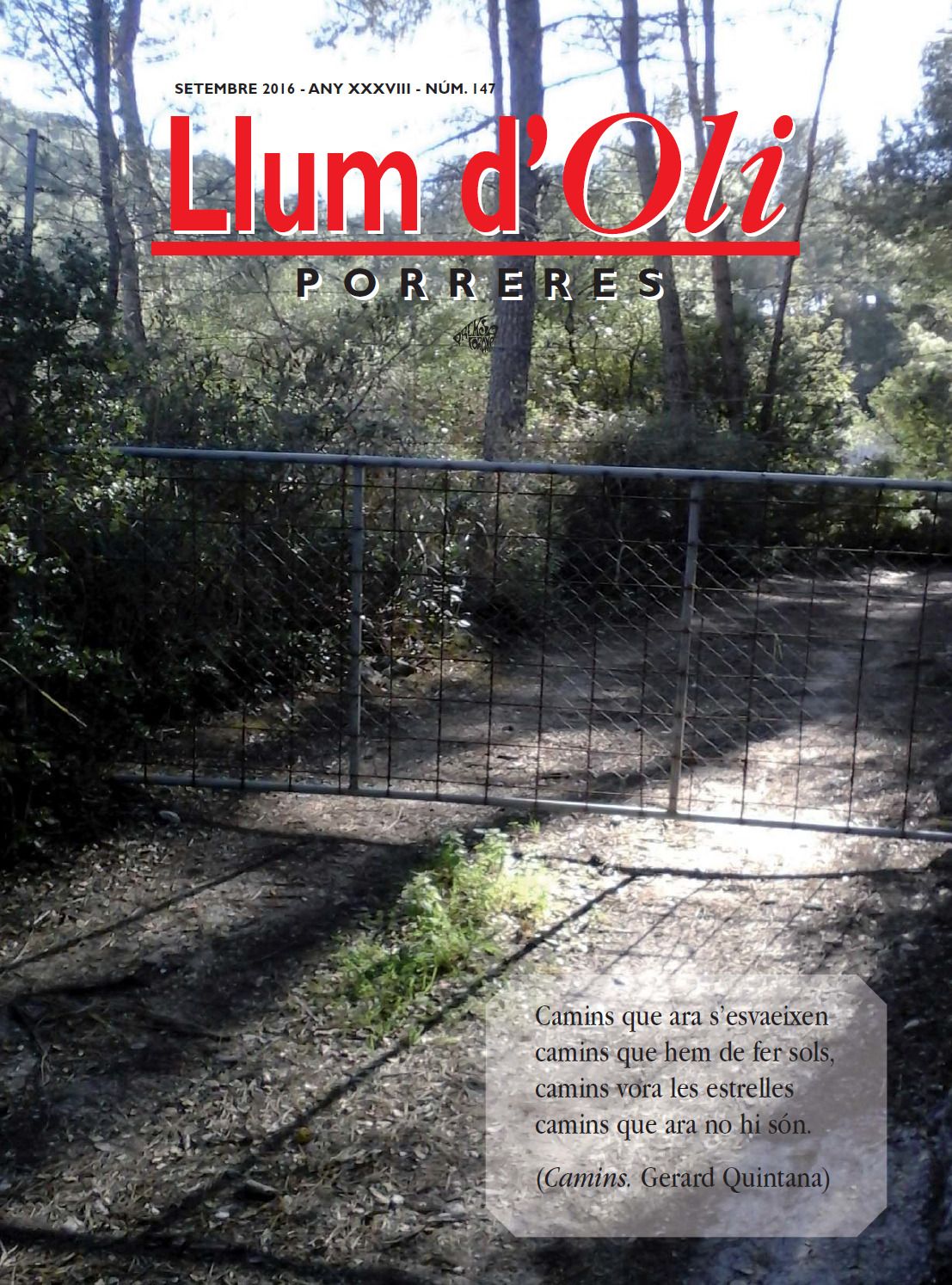 Llum d'Oli 147