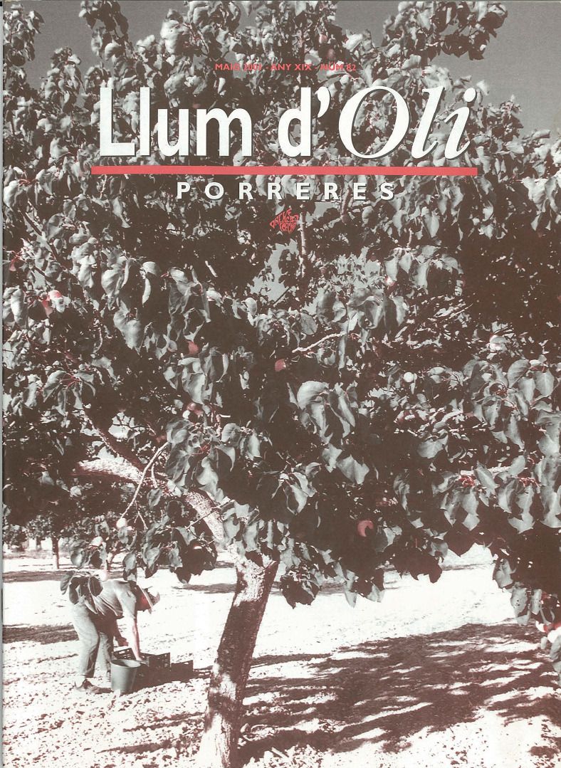 Llum d'Oli 82