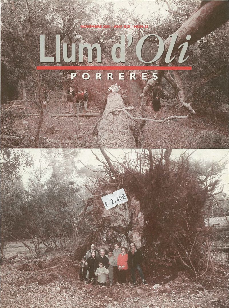 Llum d'Oli 85