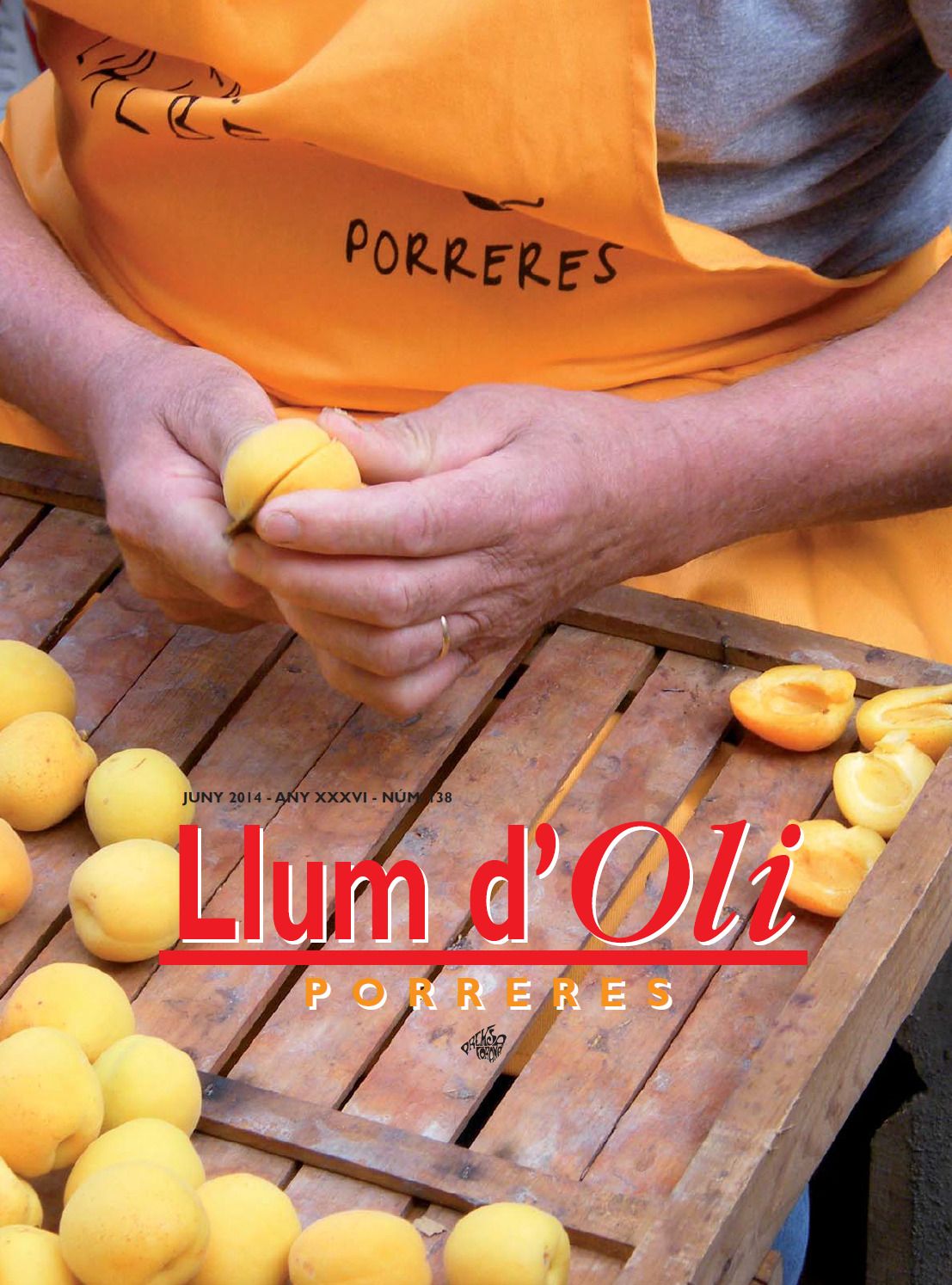 Llum d'Oli 138