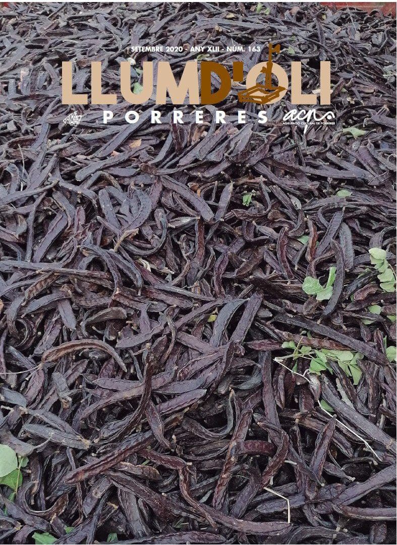 Llum d'Oli 163
