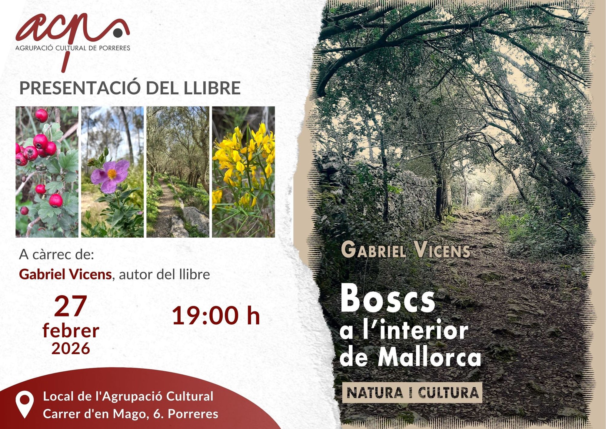 Boscs a l'interior de Mallorca