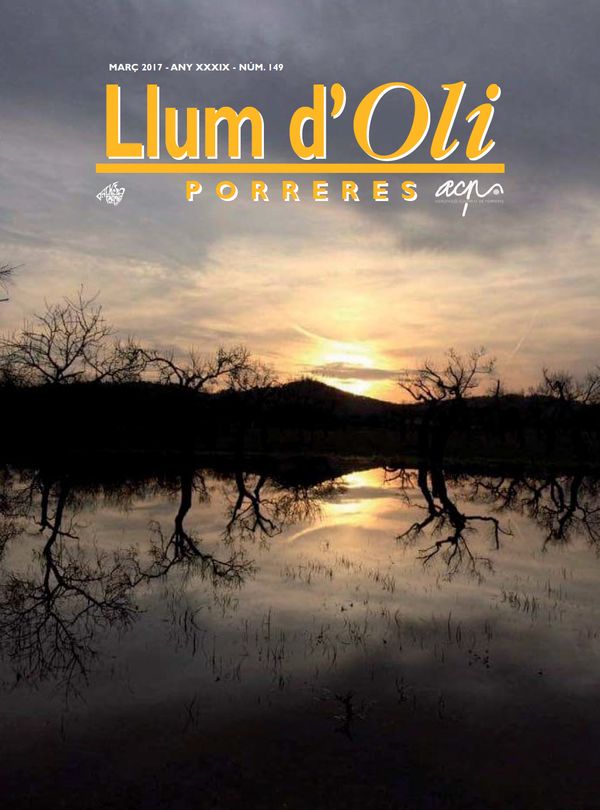 Llum d'Oli 149