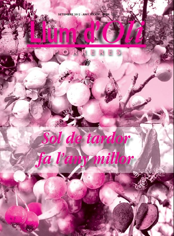 Llum d'Oli 131