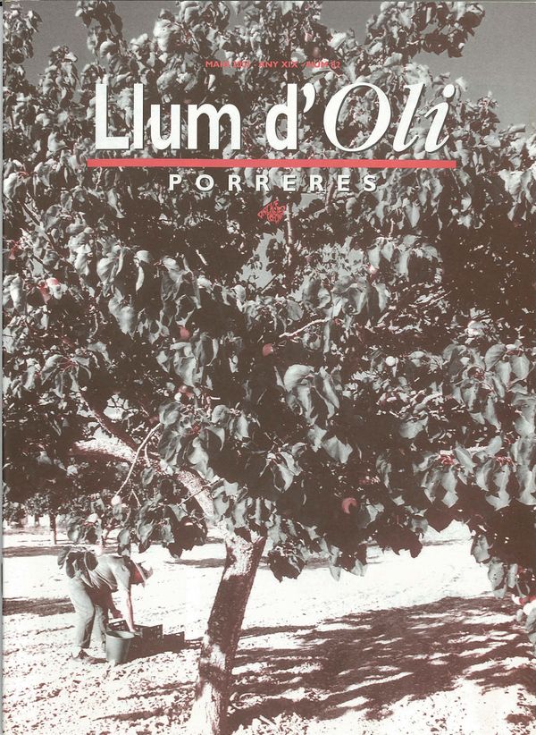 Llum d'Oli 82