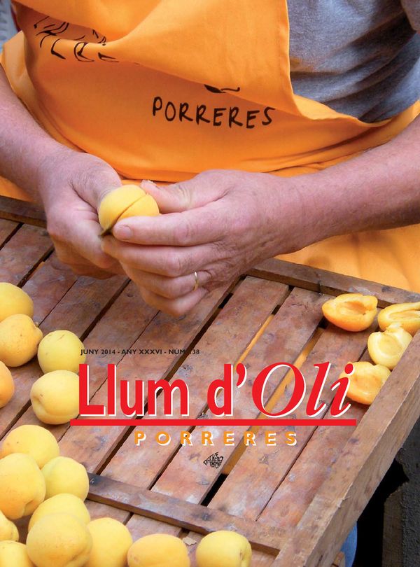 Llum d'Oli 138