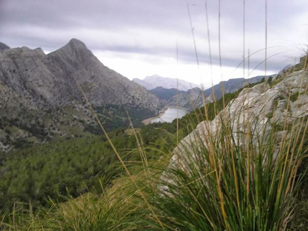 Excursió al Puig dels Tossals Verds i Puig de Sa Font dia 24 de novembre