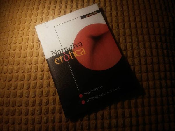 Narrativa eròtica