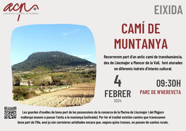 Camí de Muntanya